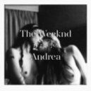 The Weeknd - Often (Andrea Remix)