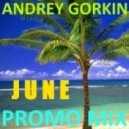 Dj Andrey Gorkin - June Promo Mix 2014