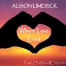 Alison Limerick - Where Love Lives (Pete D\'s RandE Remix)