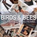 Rex Riot - Birds and the Bees