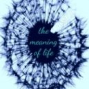 a.ST.i. - the meaning of life