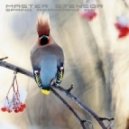 MASTER STENSOR - Spring Awakening (2014)
