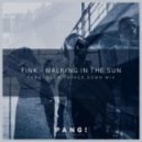 Fink - Walking In The Sun
