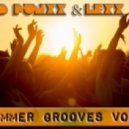 D Punxx & Lexx - Summer Grooves vol.1