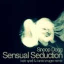 Snoop Dogg - Sensual Seduction
