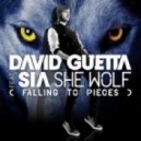 David Guetta feat. Sia - She Wolf