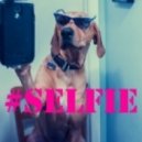 The Chainsmokers - #SELFIE (Emre Akkaya Mashup)