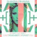 Shakira feat. Rihanna - Can't Remember To Forget You