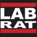 LabRat - Hoodrat