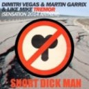 Dimitri Vegas, Like Mike & Martin Garrix vs. 20 Fingers - Short Dick Tremor (DJ PMC Mashup)