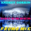 DJ Andrey Gorkin - December Promo Mix 2014