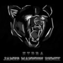 Hoshino - Hydra (James Mannion Remix)