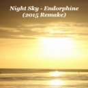 Night Sky - Endorphine