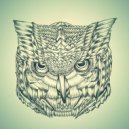 Lion Forest - Night Owl