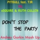 Pitbull feat. TJR vs. eSQUIRE & Ruth Cullen - Don\'t Stop The Party (Andrey Gorkin Mash Up)