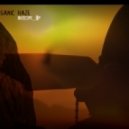 Organic Haze - Solitude (Original mix)