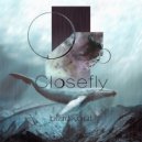Closefly - Weapon