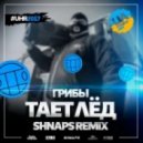 Грибы - Тает Лёд