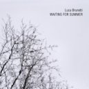 Luca Brunetti - Waiting For Summer