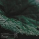 Renato (DE) - Flori (AFFECT! Remix)