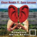 Clean Bandit Ft. Zara Larsson - Symphony