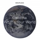 Gelvetta - What's Your World