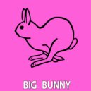 Big Bunny - Don't Lose Your ?hance