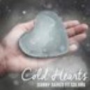 Danny Darko ft. Solara - Cold Hearts (Remix by Social Destruction)