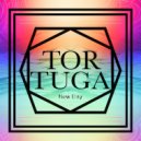 Tortuga - Color Blind