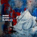 Bubaleh - Shake Down