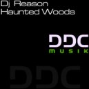 Dj Reason - Haunted Woods