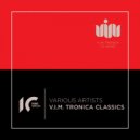 Zipmix - Fiolent (Original Mix)