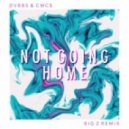 DVBBS & CMC$ Ft. Gia Koka - Not Going Home (Big Z Remix)