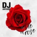 DJ Antoine - La Vie En Rose (vs. Mad Mark 2k17 Extended Mix)