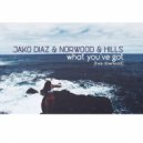 Jako Diaz & Norwood & Hills - What You\'ve Got (Original Mix)