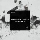 Soundpack & Jovick - Drunk (Original Mix)