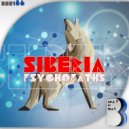 Psychopaths - Siberia (Original Mix)