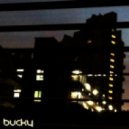 Bucky - Never Be