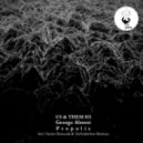 George Absent - Propolis (Yacine Dessouki\'s Reinterpretation Remix)