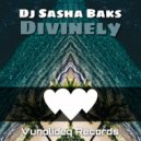 DJ Sasha Baks - Shiko ()