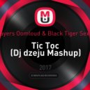 Bingo Players Oomloud & Black Tiger Sex Machine - Tic Toc (Dj dzeju Mashup)
