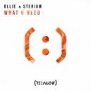 Ollie & Sterium - What U Need