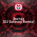 Ленинград - Экстаз (DJ Solovey Remix)