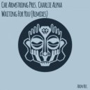 Che Armstrong & Charlie Alpha, Che Armstrong, Charlie Alpha - Waiting for You (Robin Thurston Remix)