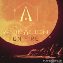 Animalien & Farbo - Into The Future