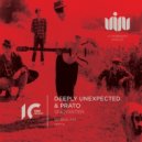 Deeply Unexpected & Prato - Snowater (Borka FM Remix)