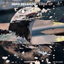 Joao Delgado - Look Up