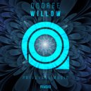 Qodree - Willow