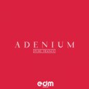 Adenium - Wellington (Original Mix)