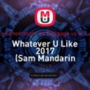 Nicole Scherzinger vs Baggage vs D\' Luxe - Whatever U Like 2017 (Sam Mandarin edit)